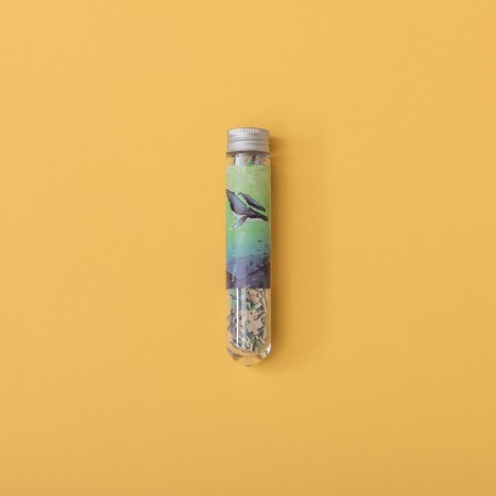 Tube MicroPuzzle - WHALES